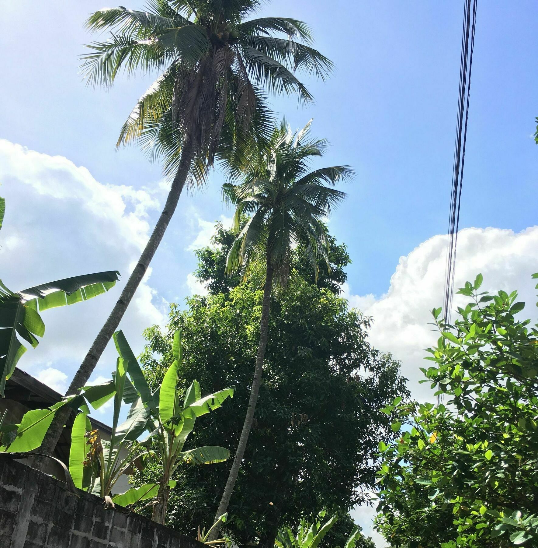 Him Dara Homestay Chiang Mai Exterior foto